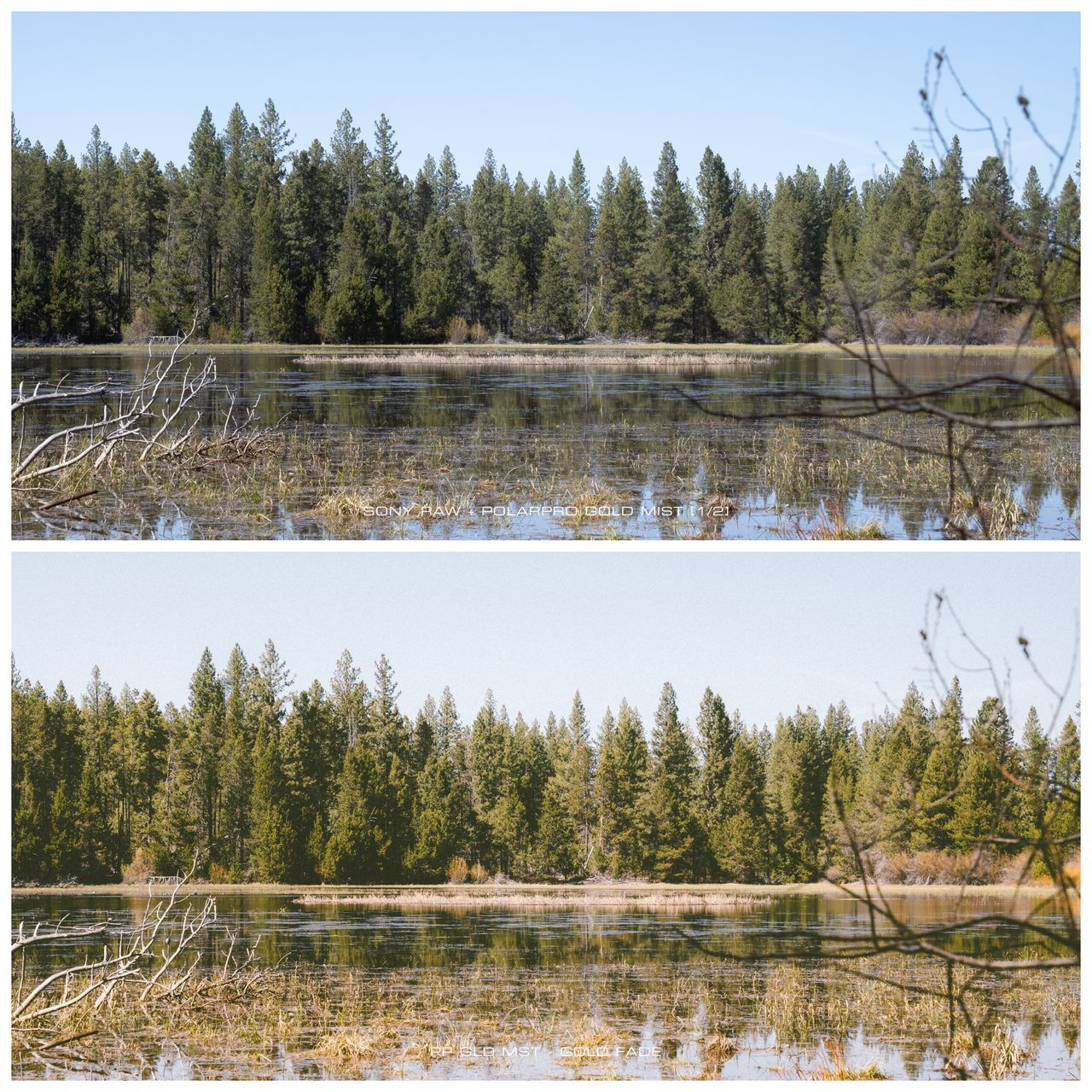 A before and after picture shows a scene with and without the editing preset applied