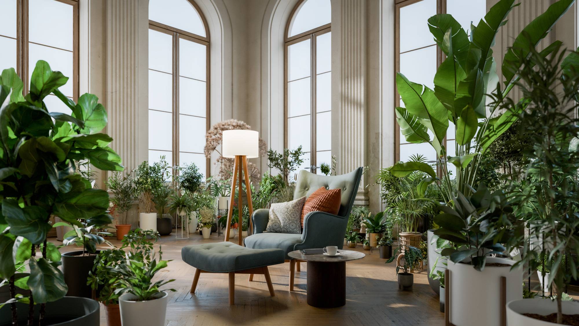 Large collection of houseplants