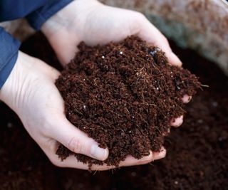 A close up on hands holding some coco coir compost