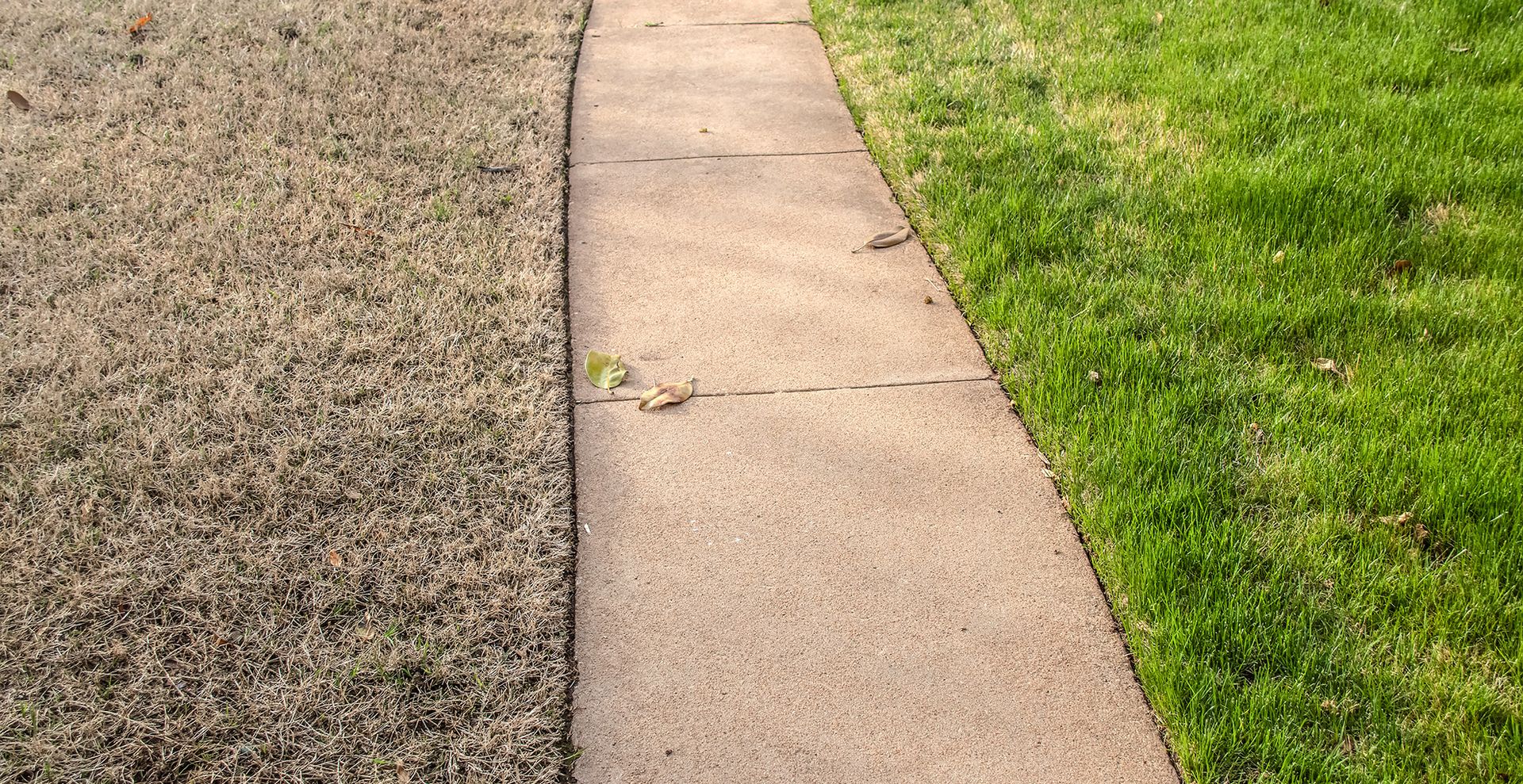 a yard with one side of healthy grass and one side of compacted grass to show how often to aerate a lawn
