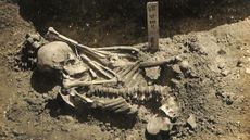 Original excavation photograph of Tsukumo No. 24.