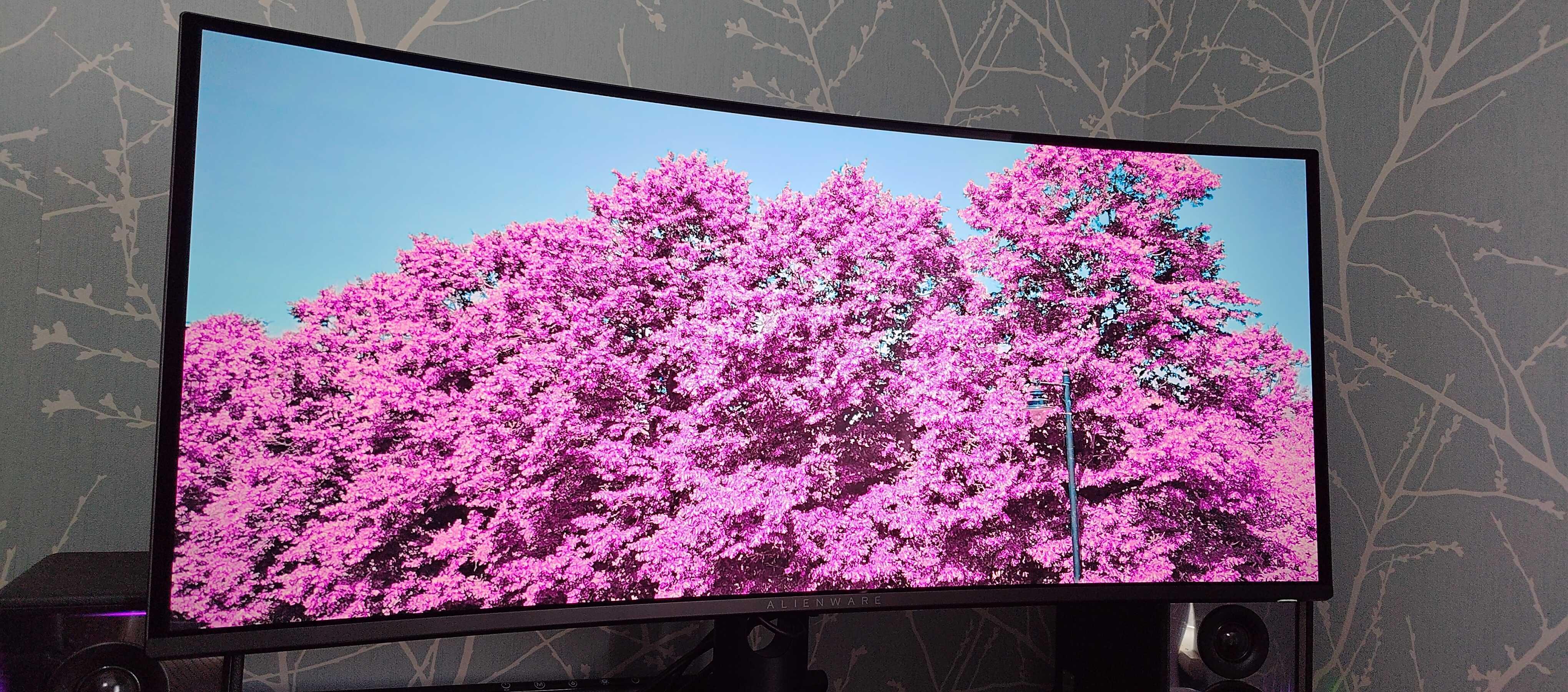 Trees on Alienware AW3426DW
