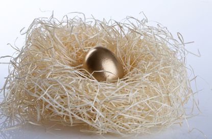 Golden egg in nest