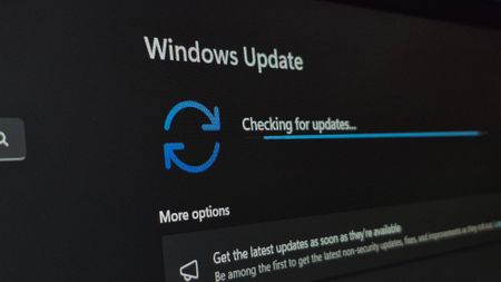 Close up image of Windows update Screen on a windows 11 device checking for latest updates.