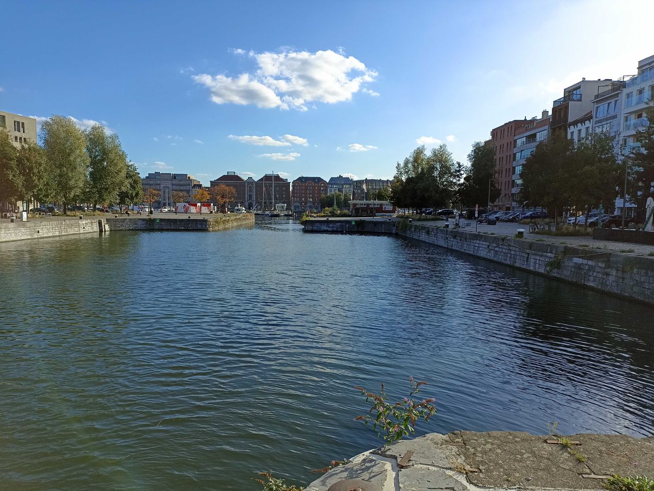 Poco M5s camera sample