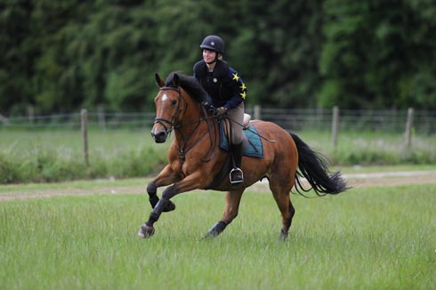 canter-fitness.jpg