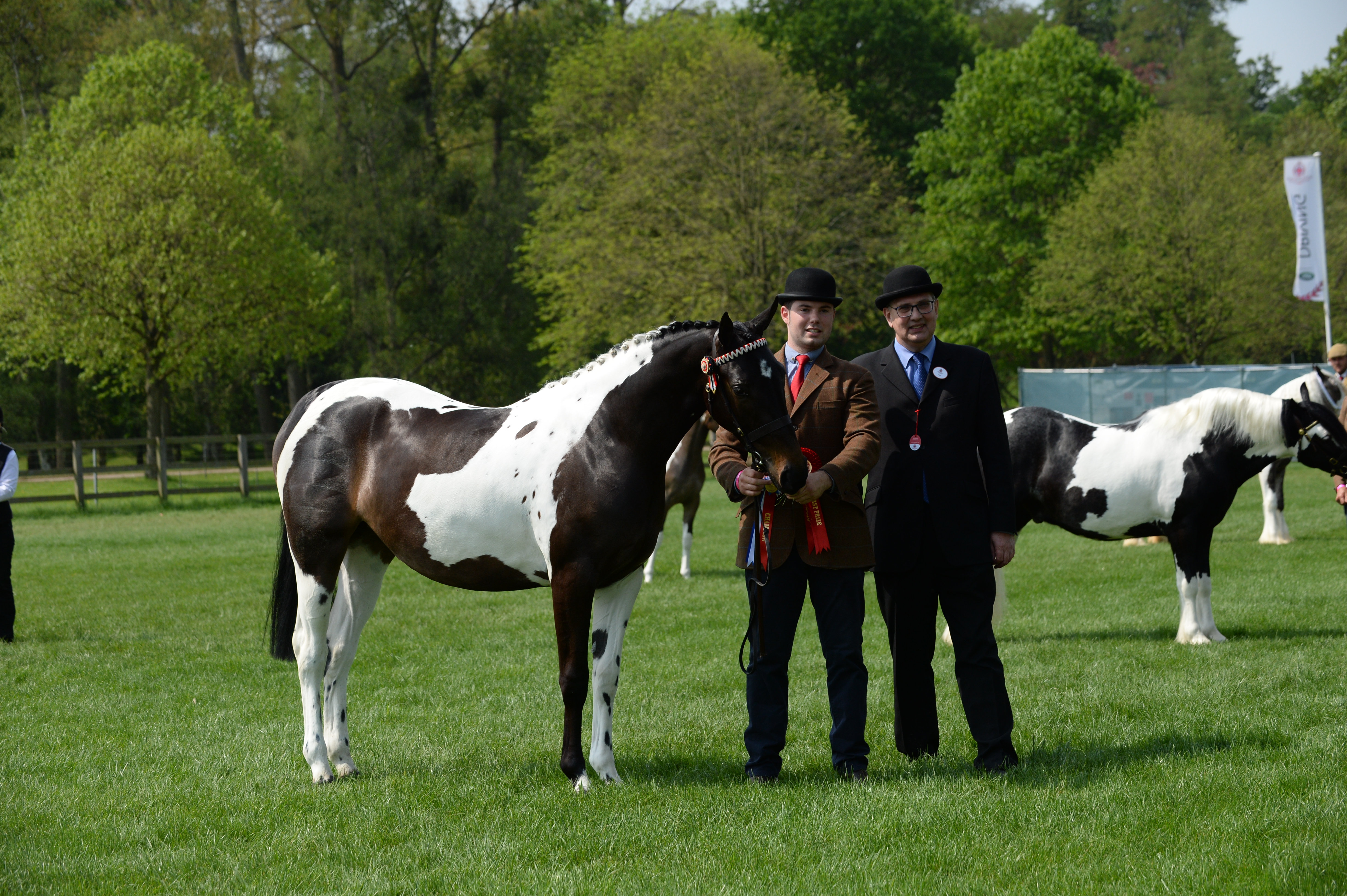 WINDSOR 2016 GALLERY Kellythorpe Spot The Difference