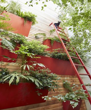 Vertical garden with red planters