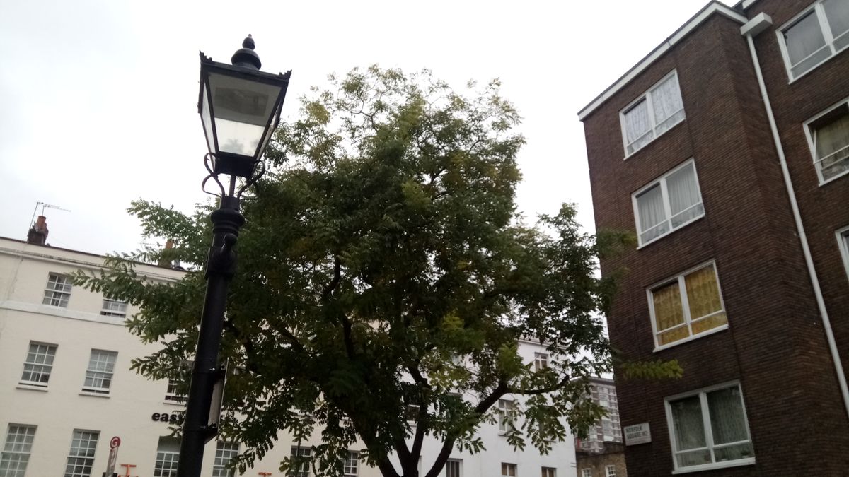 This grim day still provided enough light to take a clear and highly detailed photo.
