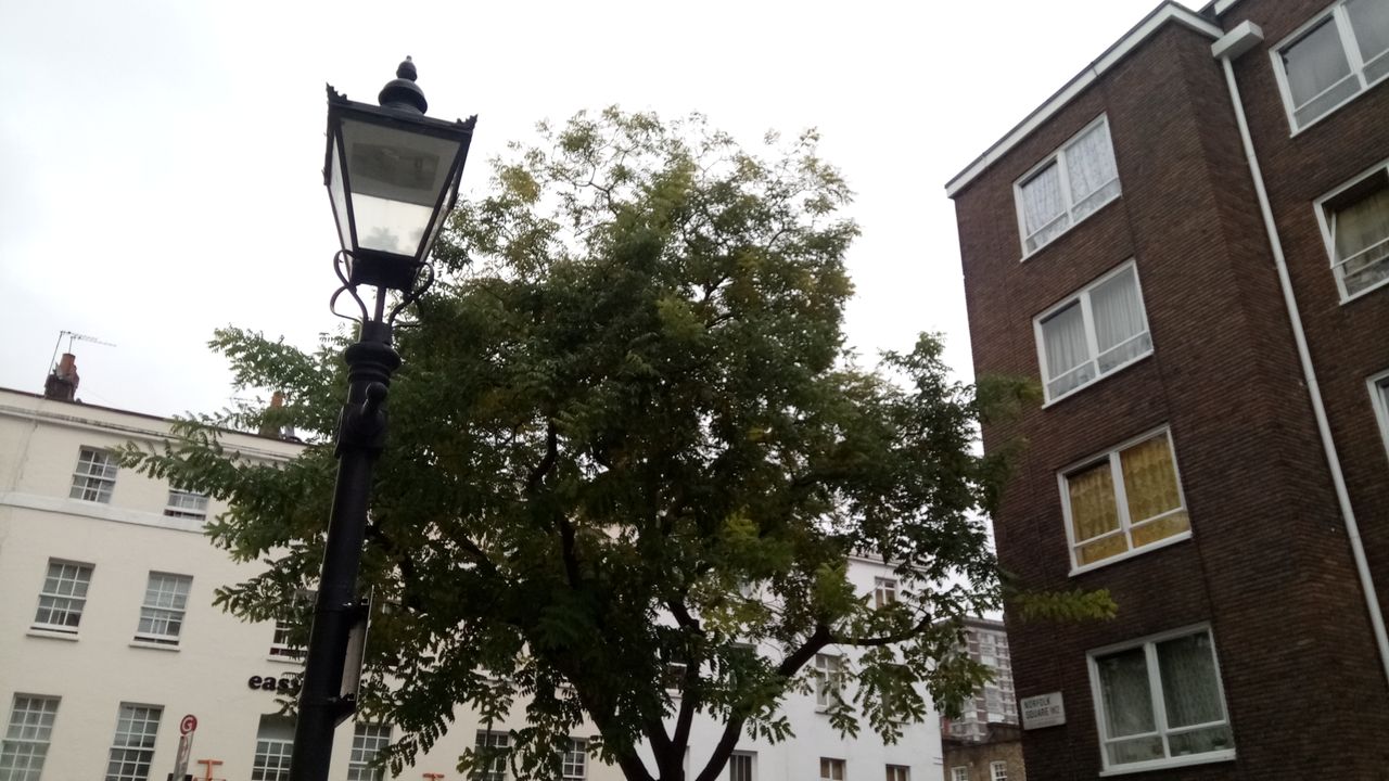 This grim day still provided enough light to take a clear and highly detailed photo.