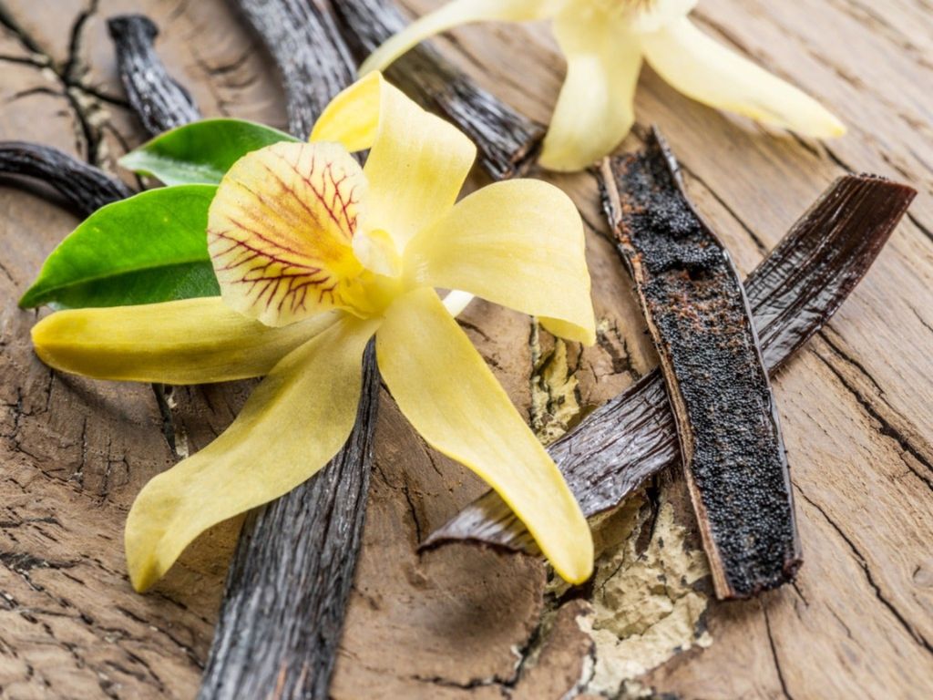 Edible Orchid Varieties That Are Pretty And Delicious Gardening Know How
