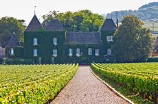 clos commaraine, burgundy