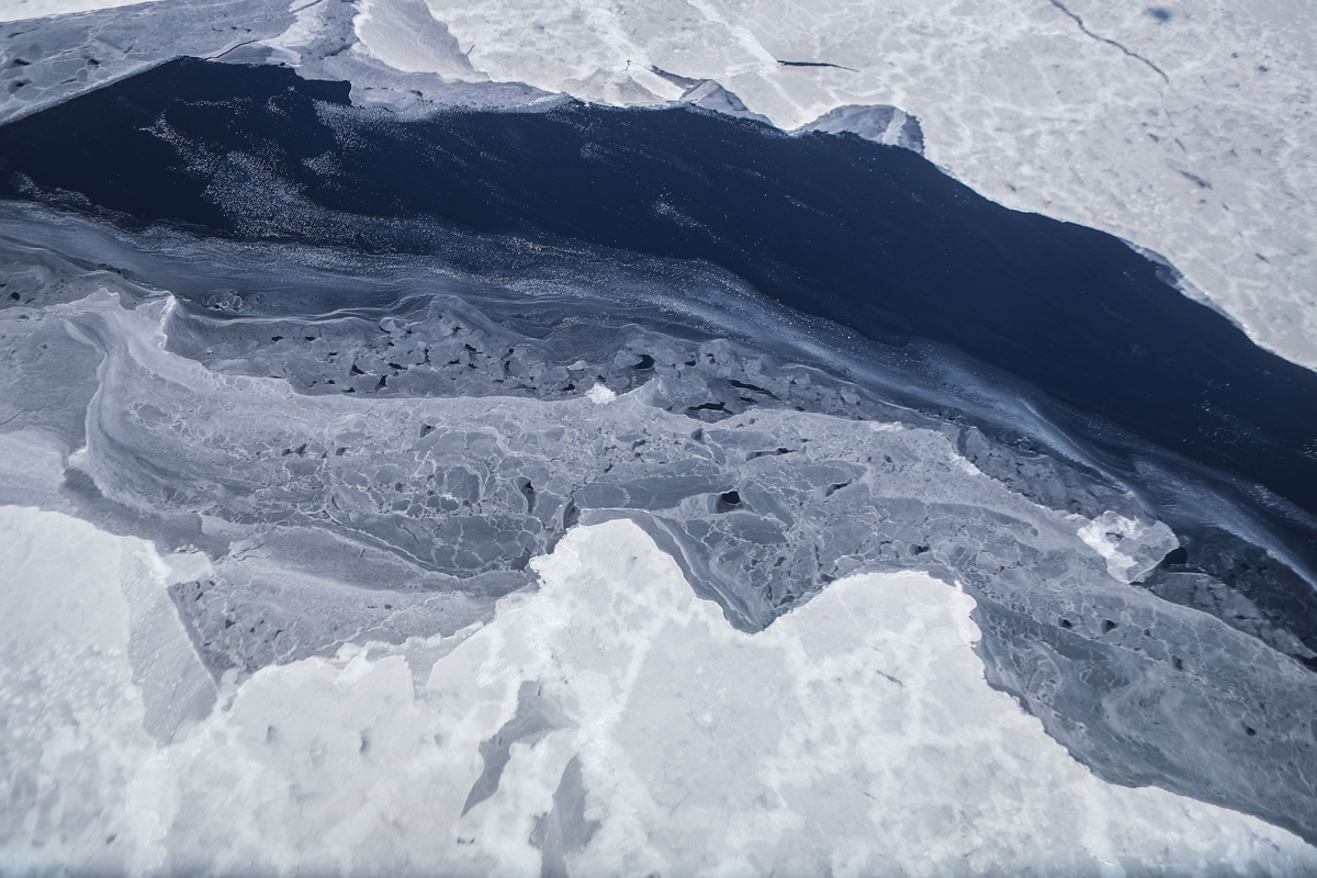 Amazing Antarctica
