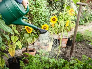 watering can used in garden