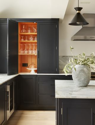 a painted kitchen idea with a colour cabinetry interior