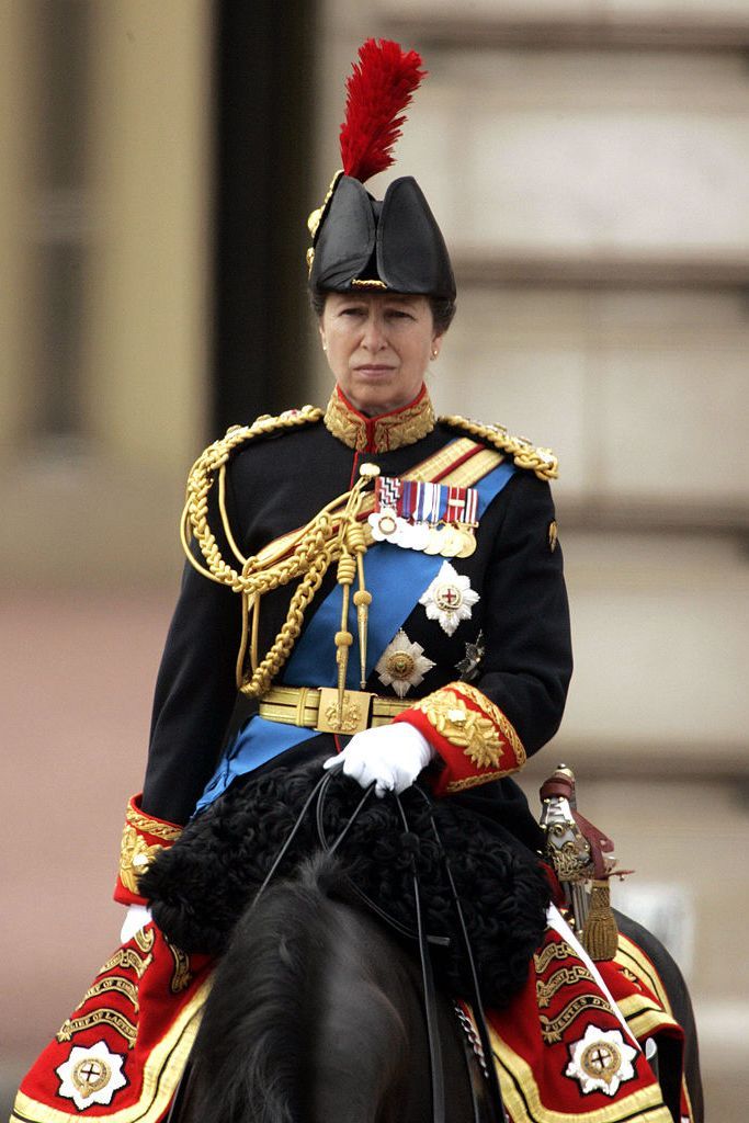 Bearskin, Uniform, Horse,