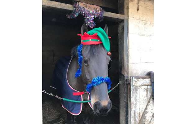 Rider xmas traditions - web feature