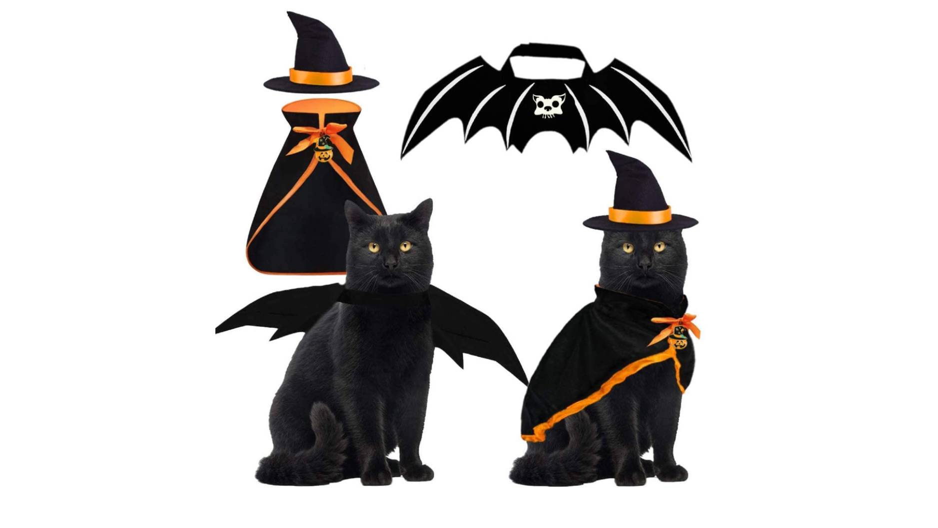 Best Halloween costumes for cats 2024 Spooktacular attire for your