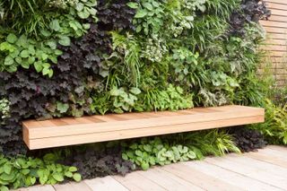 a living fence wall with a light wooden seat set into it