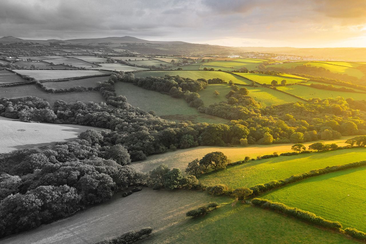 Countryside of Britain