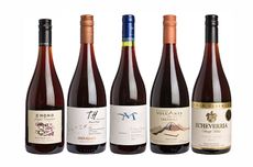 Best Chilean Pinot noir