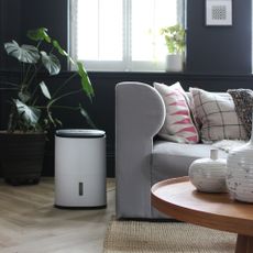 A Meaco dehumidifier by the side of a sofa in a living room with dark walls