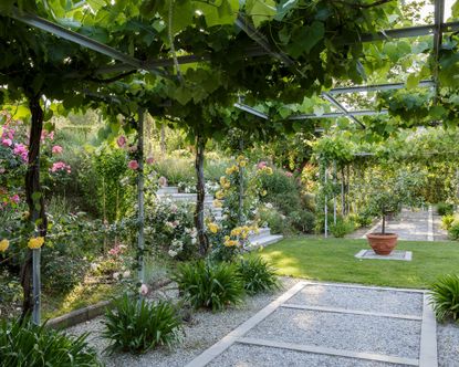 South facing garden ideas: How to embrace a sun-filled backyard