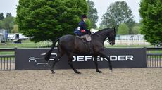 Francoise Babbington&rsquo;s Seabourne Silent Valley nets the Royal Windsor ladies' hunter class