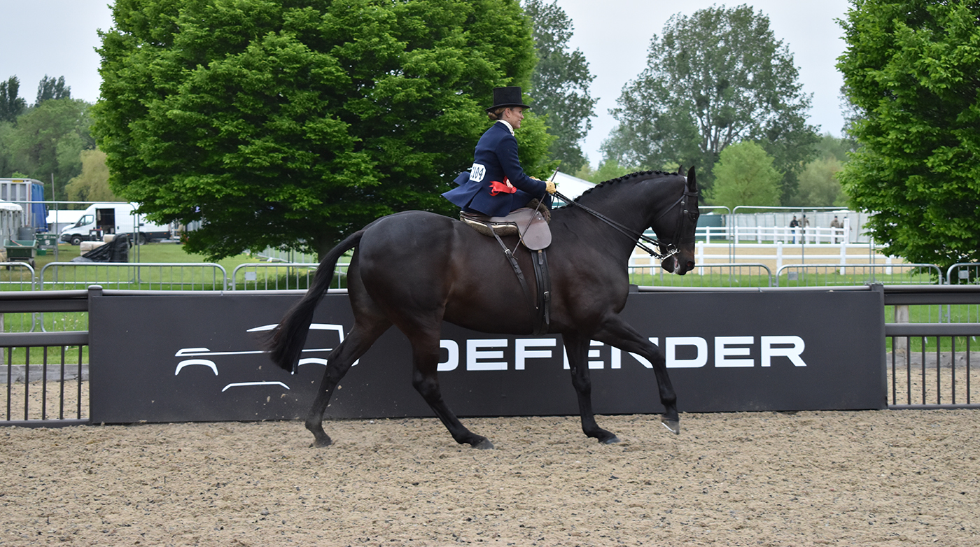 Francoise Babbington&amp;rsquo;s Seabourne Silent Valley nets the Royal Windsor ladies' hunter class