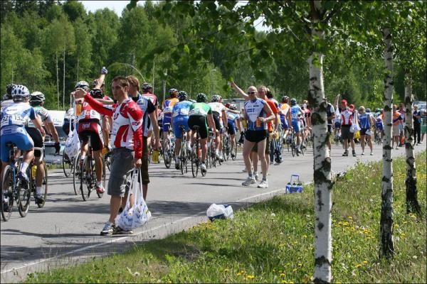 Water bottles and silver birches...
