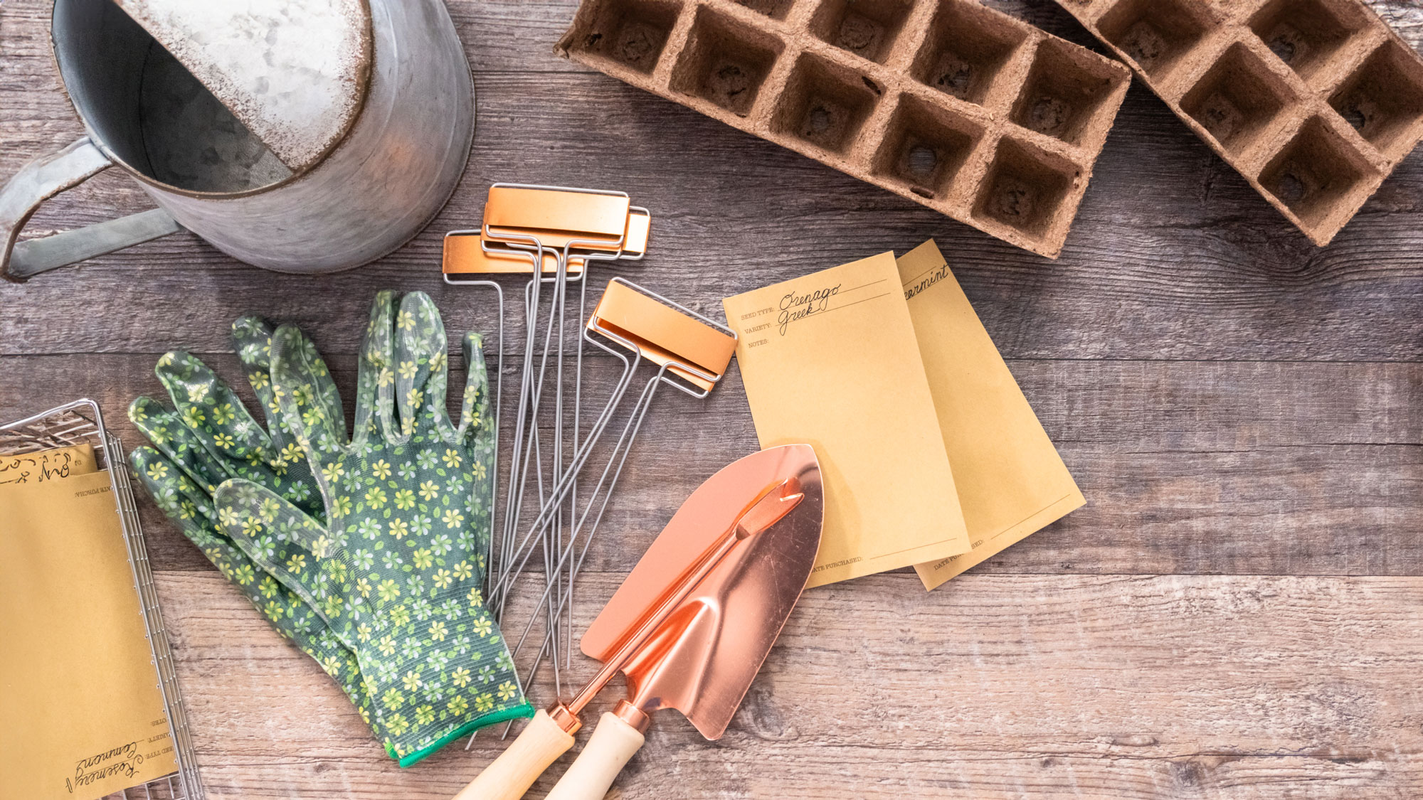 gardening tools and plant kit on worktop