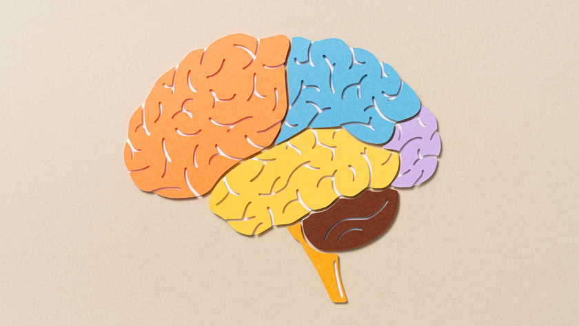 Paper cut craft of human brain regions, side view anatomy diagram on beige background.