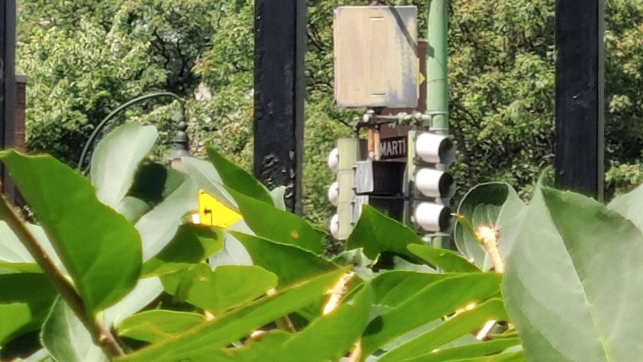 10x zoom