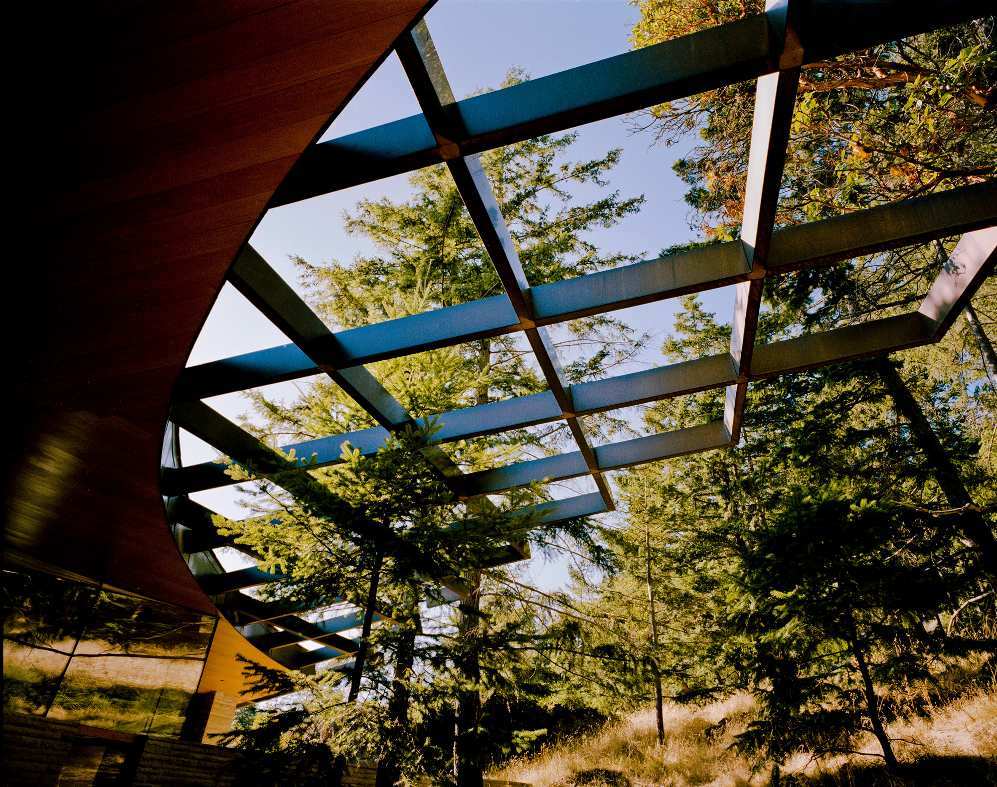 timber home in the woods by canadian architect Daniel Evan White