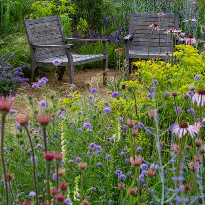 naturalistic planting