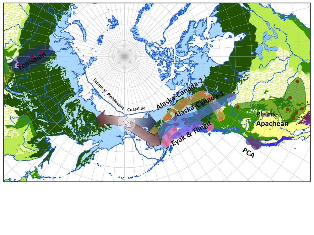 bering strait geography during pleistocene