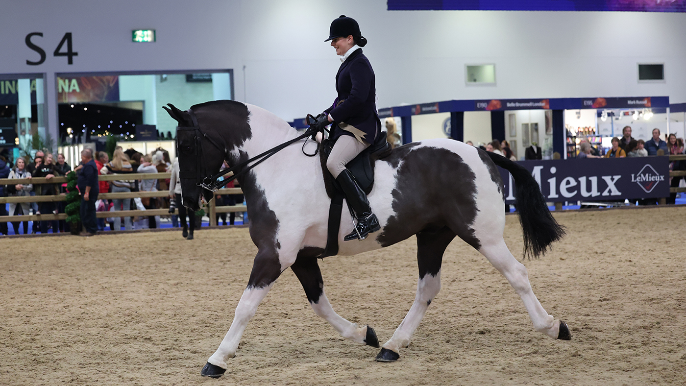 The London International Horse Show