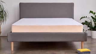 An Eve mattress protector on a bed with a gray bed frame.