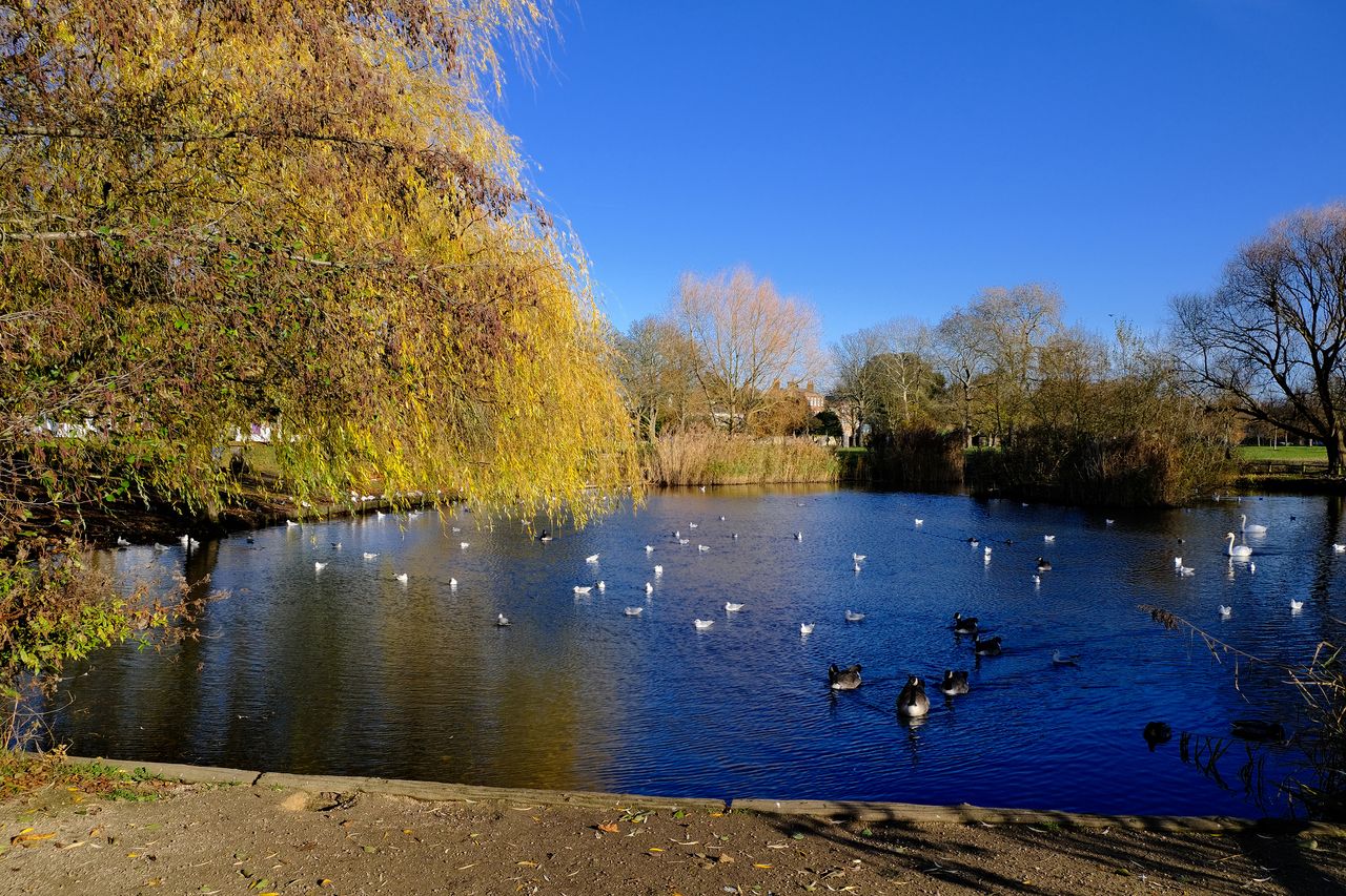 Fujifilm X-S10 review