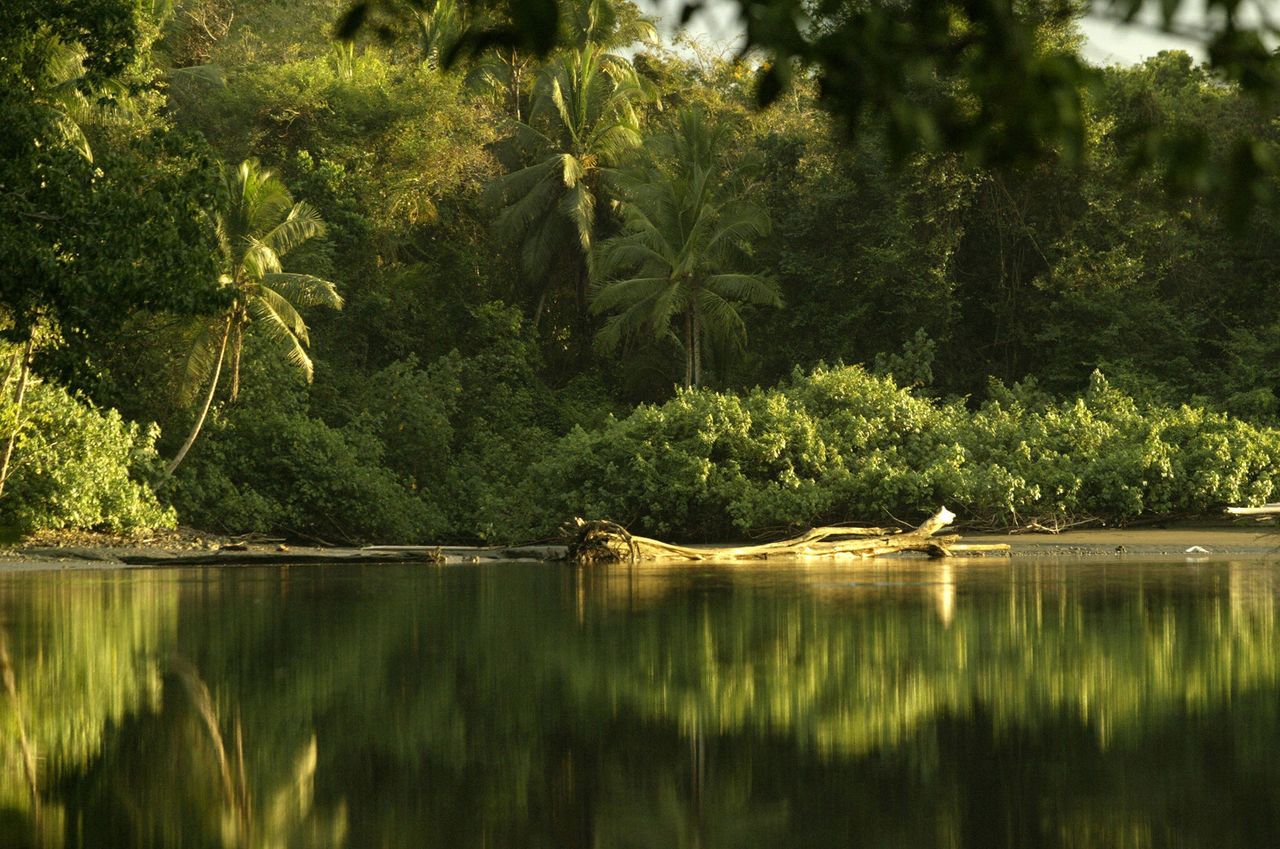 A river in Costa Rica.