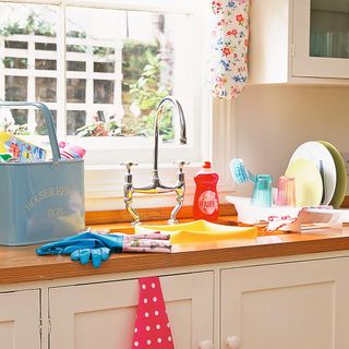 kitchen with cleaning essentials