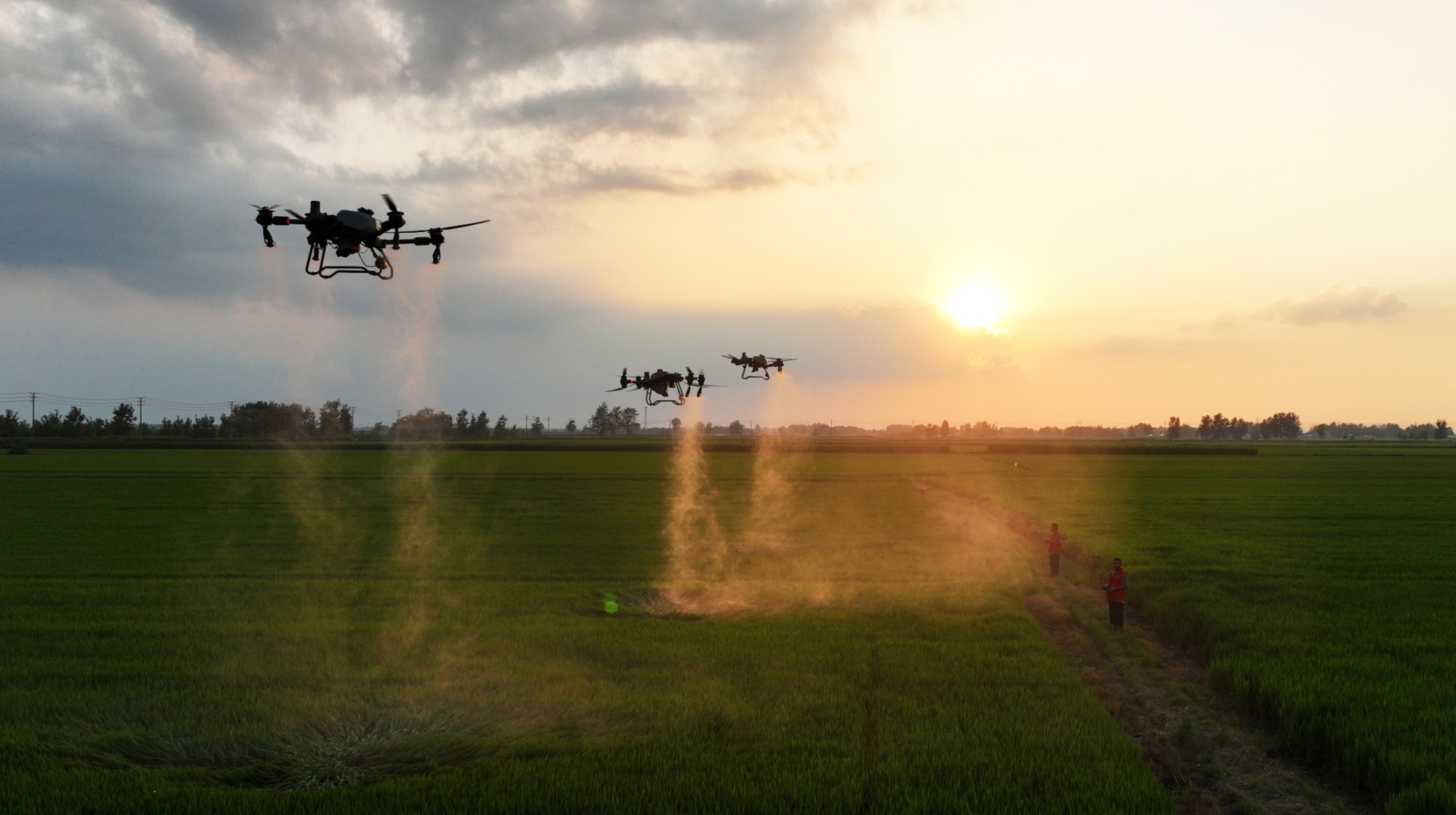 Farmers operate drones to spray pesticides on farmland in Suqian, Jiangsu province, China, on August 30, 2024. (Photo by Costfoto/NurPhoto via Getty Images)