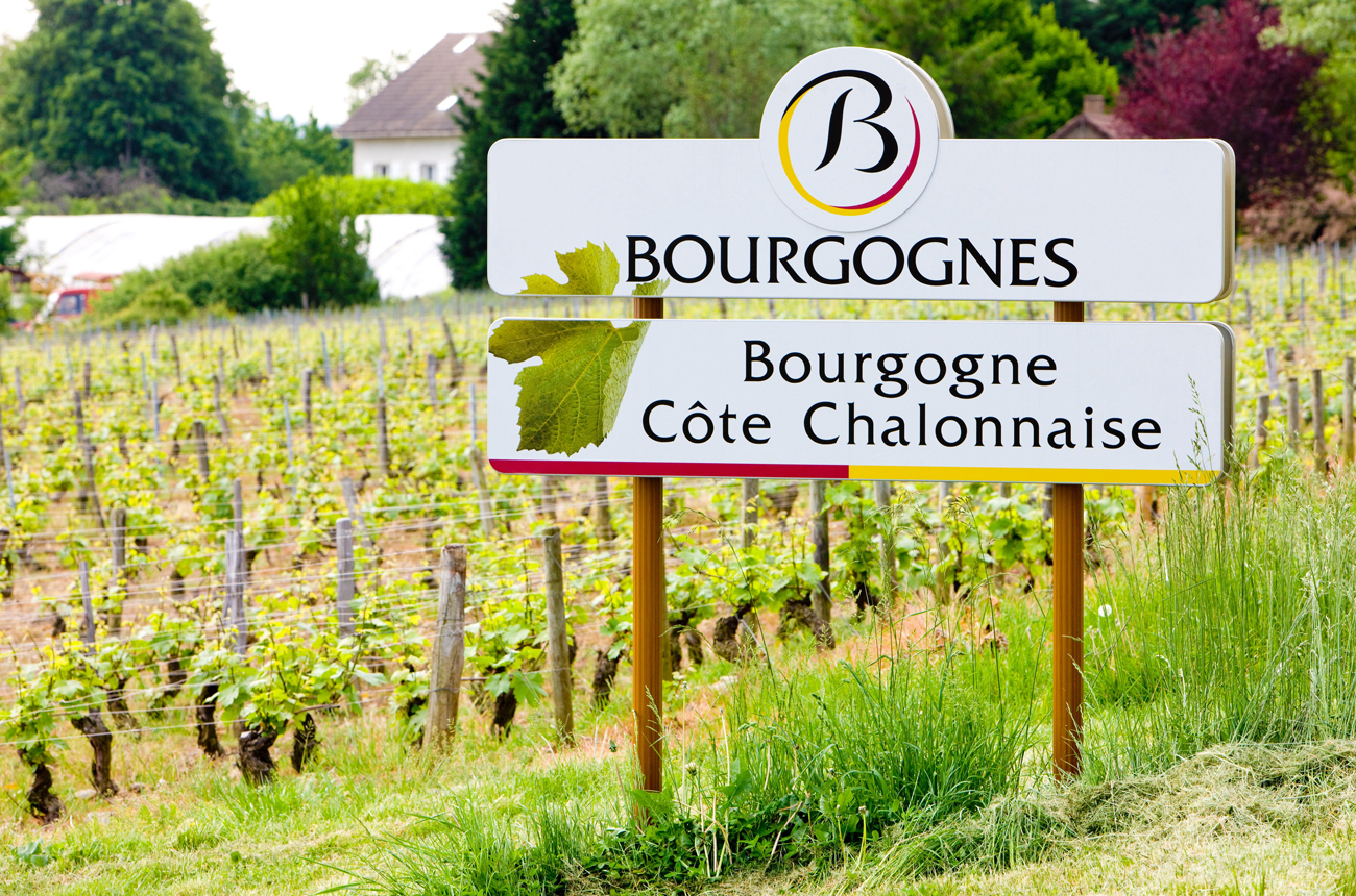 Vineyards of the C&ocirc;te Chalonnaise region