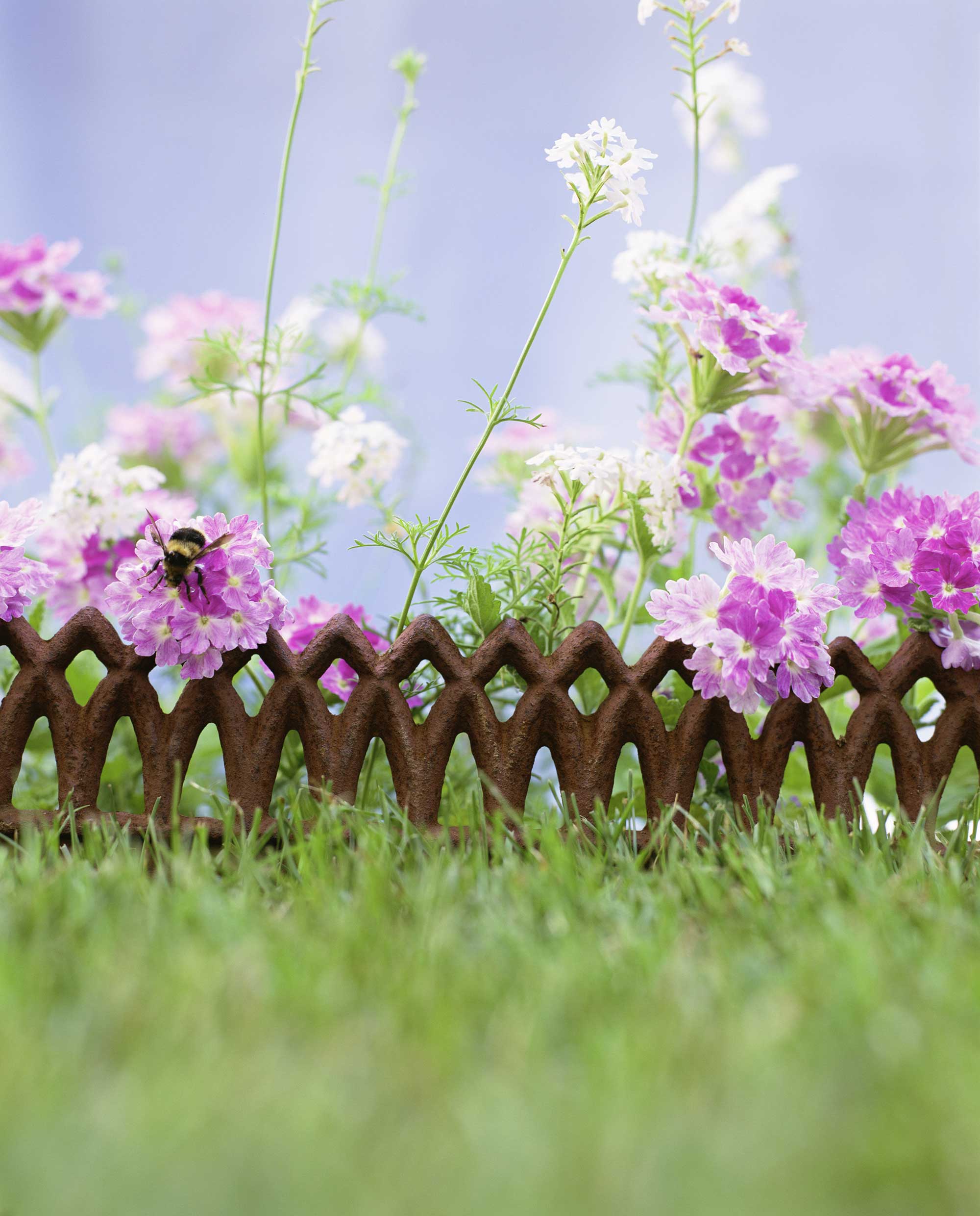 Metal garden edging ideas 10 stylish designs in steel, aluminium