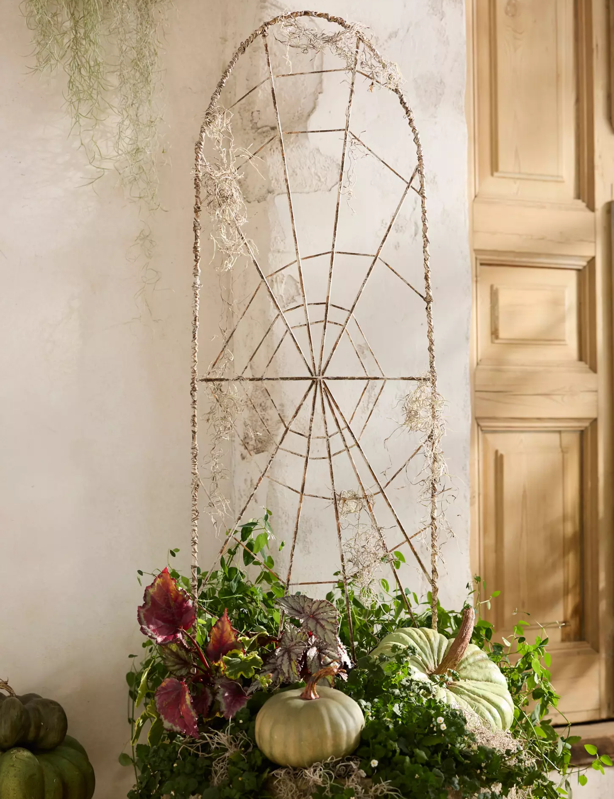 Metal cobweb trellis accenting a lush outdoor planter of pumpkins