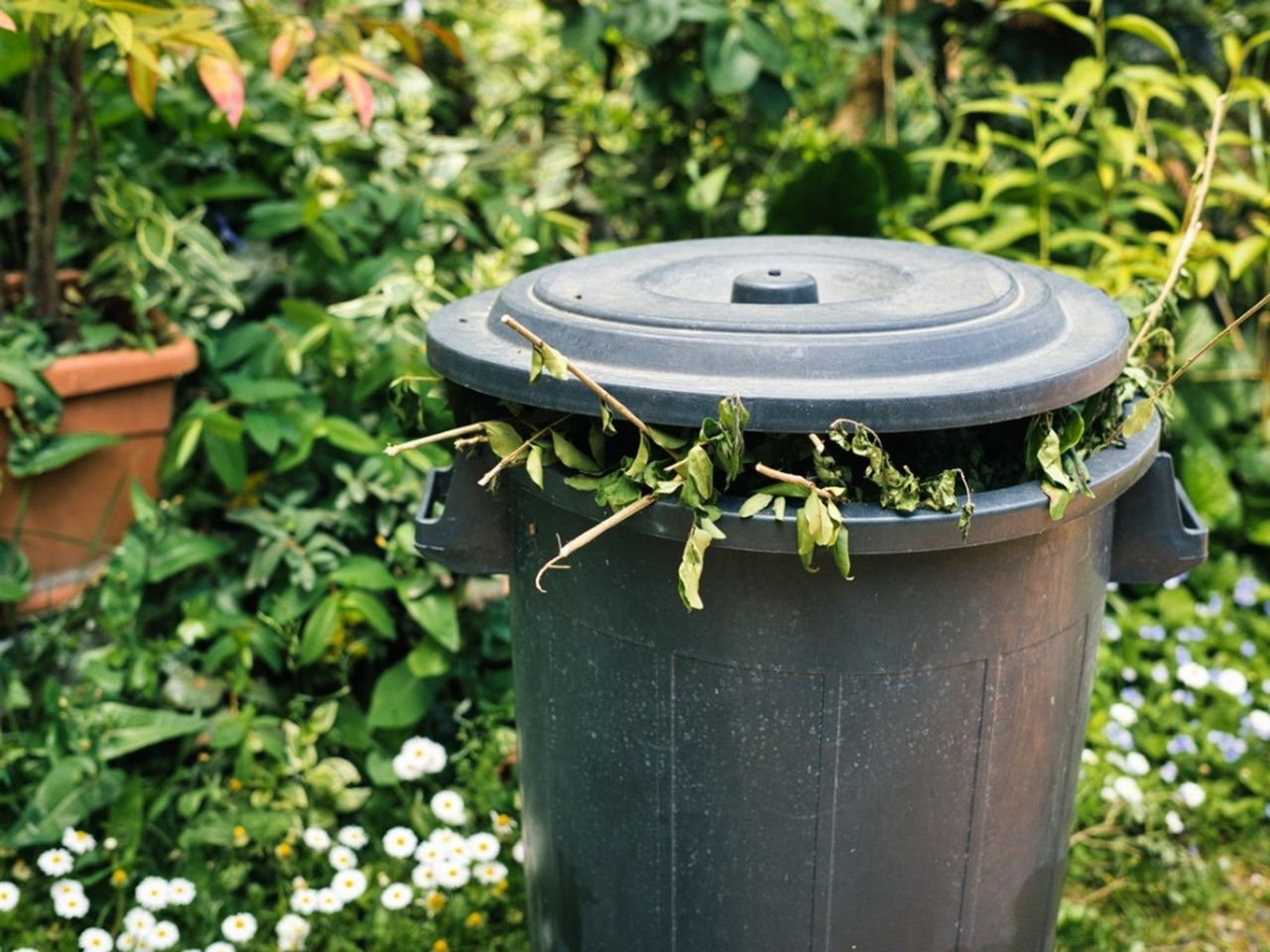 Leaves and branches poking out from under the lid of a cylindrical plastic garbage can