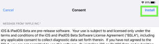 iPadOS 14 developer beta installation step 11