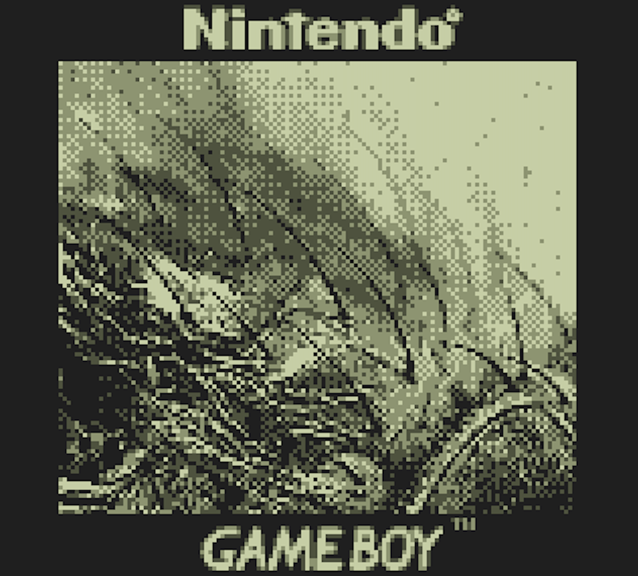 This Game Boy Camera can shoot photos of the moon