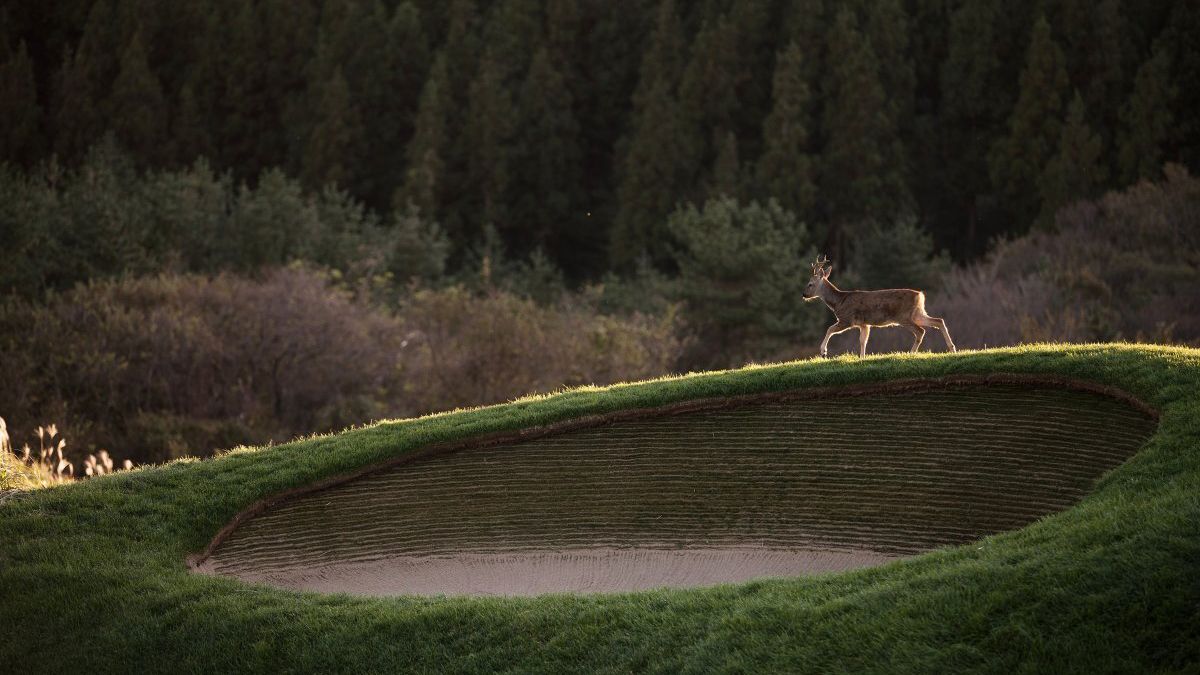 Sustainable golf week