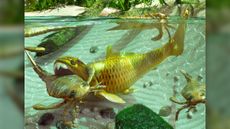 An illustration of the Devonian period fish, Dunkleosteus, preying on eurypterids (sea scorpions), which in turn were feeding on the smaller trilobites.